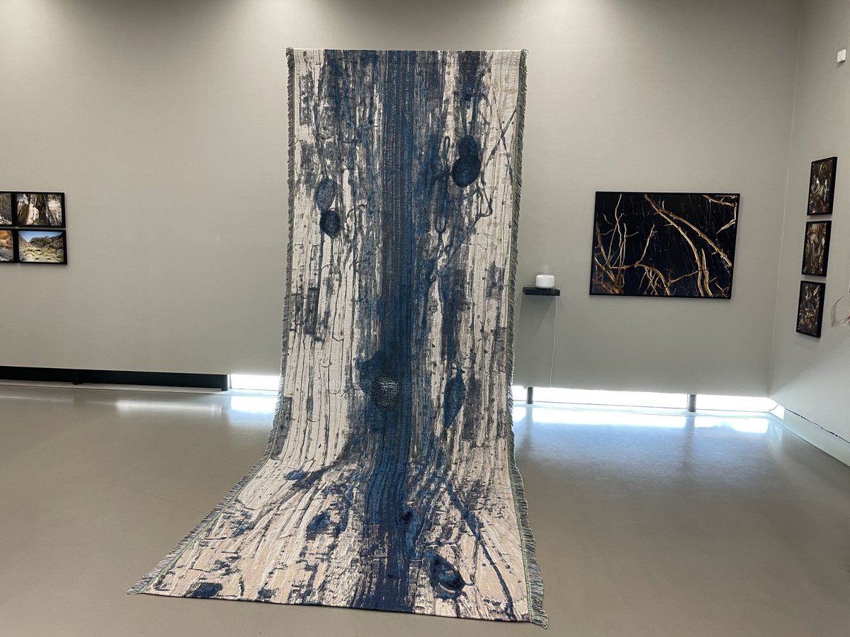 mijn vadertje zaliger zou hebben gezegd: “een geurdiffuser bij je foto’s? een WANDKLEED? och och jongen toch doe eerst maar eens een eenvoudig lijstje eromheen en probeer de beelden te laten spreken” #noorderlicht #museumbelvedere