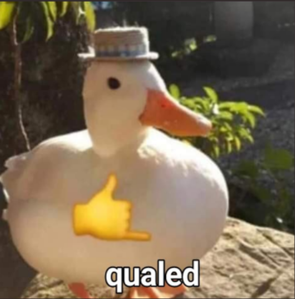 qualled to solo cc final @Aquaf1yRC2