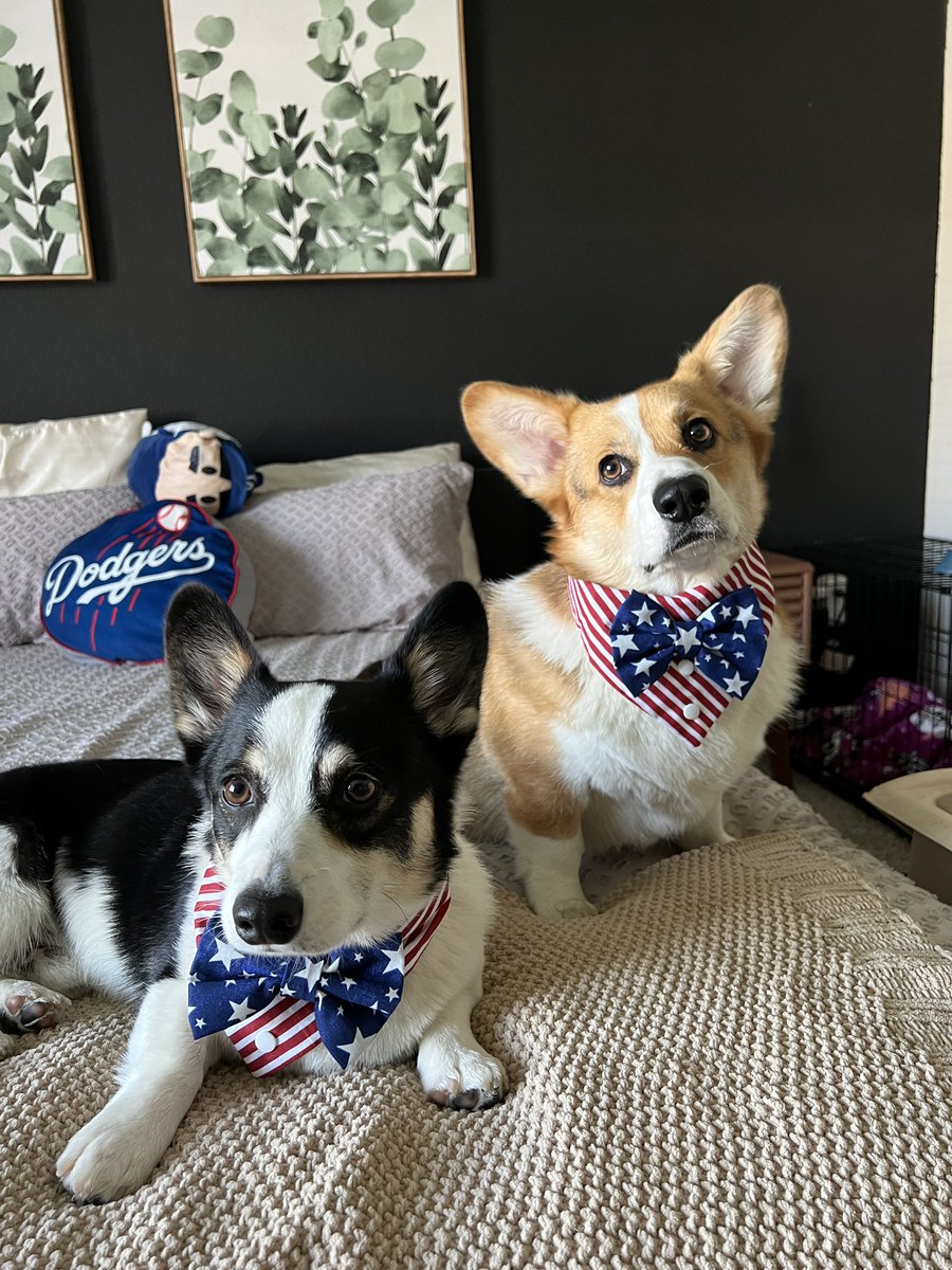 Doesnt get any cuter than this ❤️🇺🇸💙