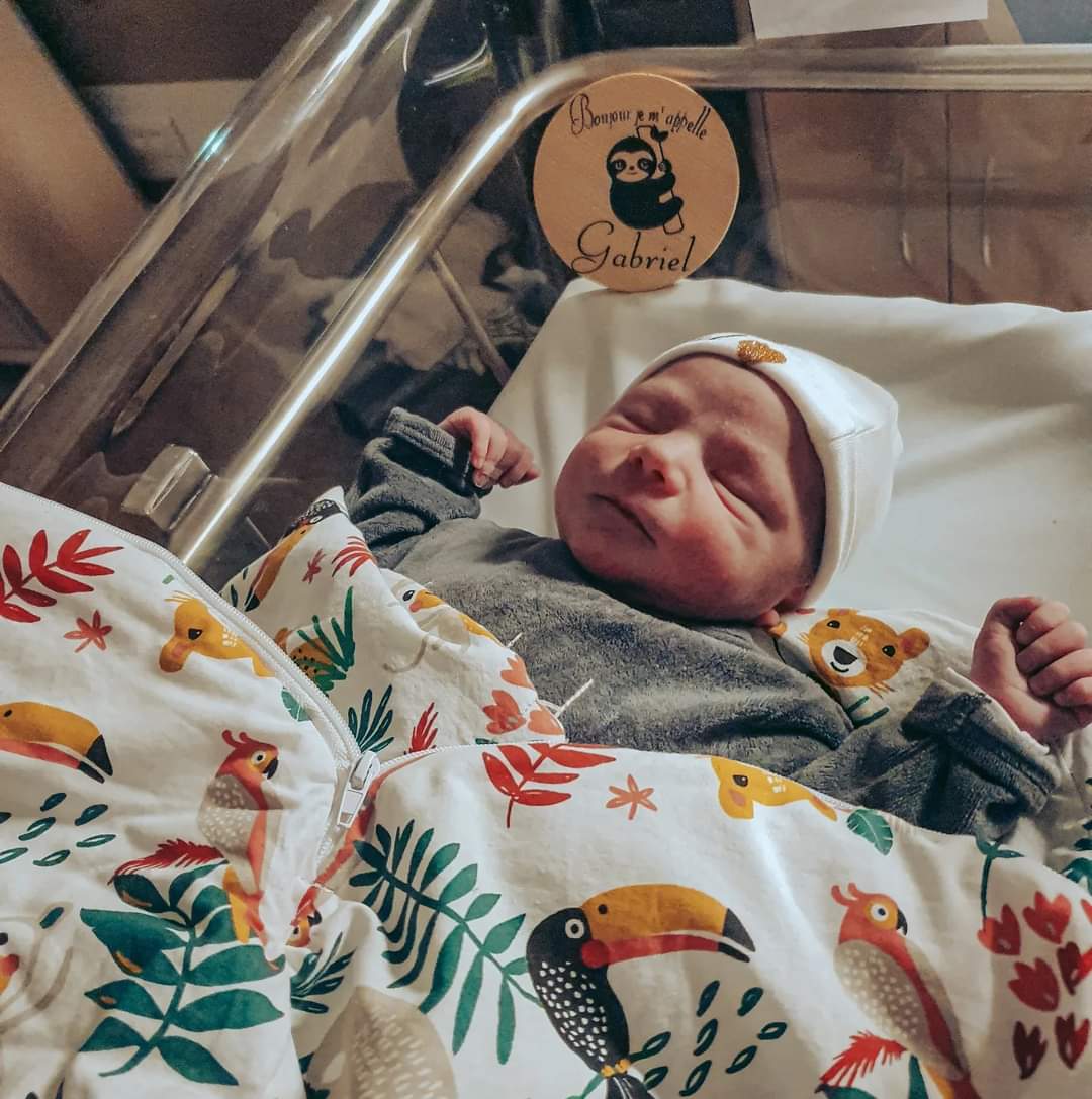 El_Guigui tweet media