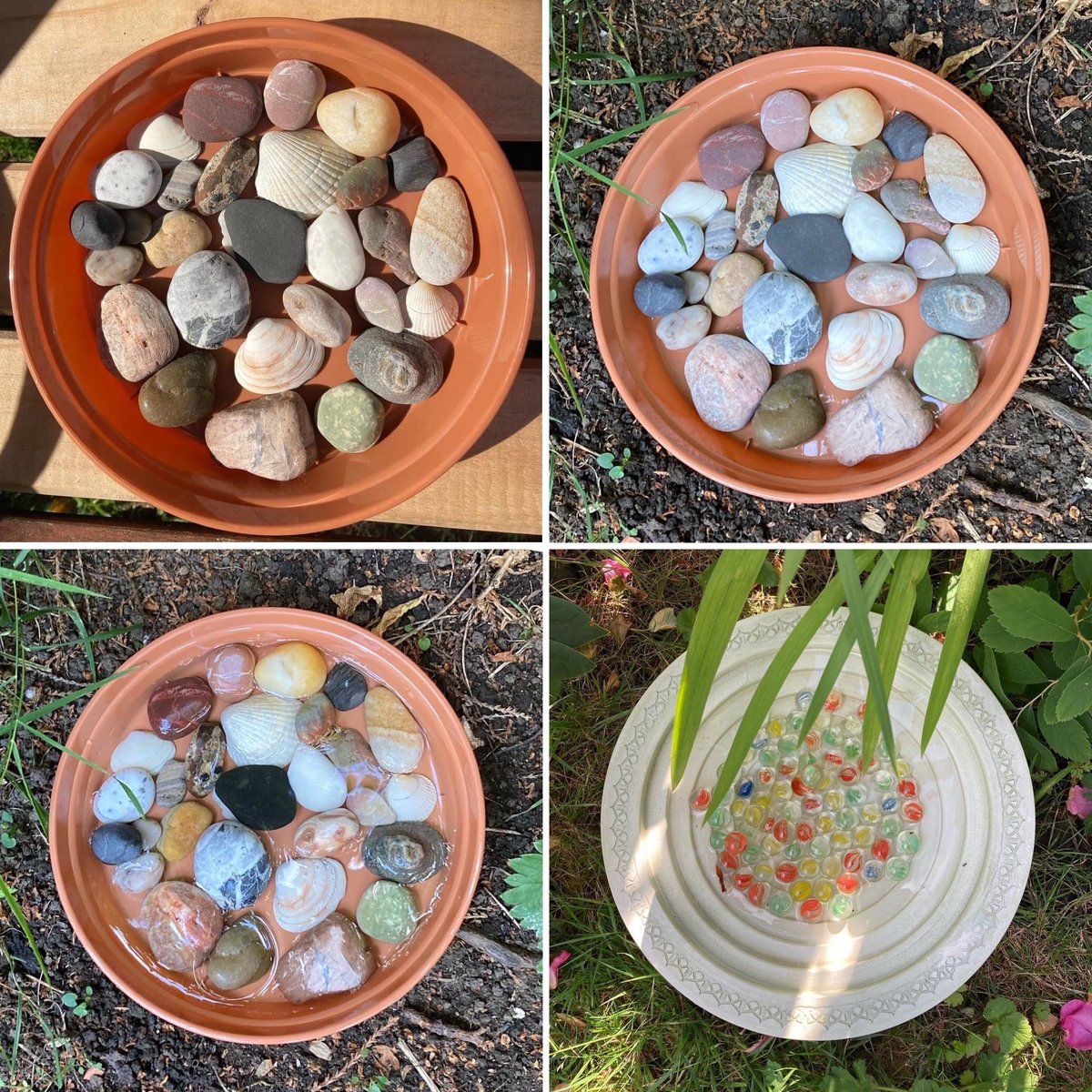 Jan_Lentzos's tweet photo. After the success of the #BeeWateringStation in my front garden, I decided to make another one for my back gardenโฆ ๐ This time using pebbles & shells instead of marbles, for the #Bees & other #PollinatingInsects to land on
๐ฆ๐๐ชจ๐๐๐ฆ
#BeesNeedWater #BeesCantSwim #BeeFriendly https://t.co/Wb6IoXwz68