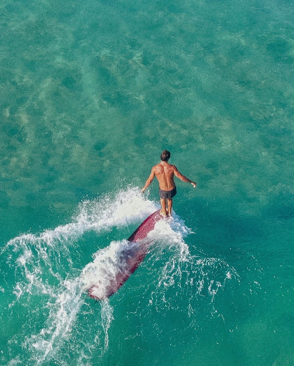 HowlerBros's tweet photo. // OPTICAL ILLUSION // Is Nacho floating or flying? 

HEED THE CALL

#opticalillusion
#oceanmotion
#nachopignataro
#howlerbros
#heedthecall https://t.co/zaETtakNly