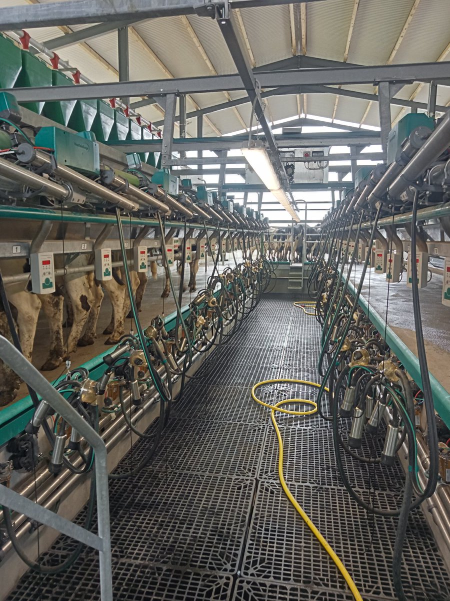 Best wishes to the Cosgrove family on their recent start up  Gea 16unit double up

Sequential Bailing, Arc's, Milk Meters, Parlour I.D, feed to Yield, Auto Draft Gates, CowScout with Heat Detection and Rumination .
Highly spec parlour and has turned out really well 🐮