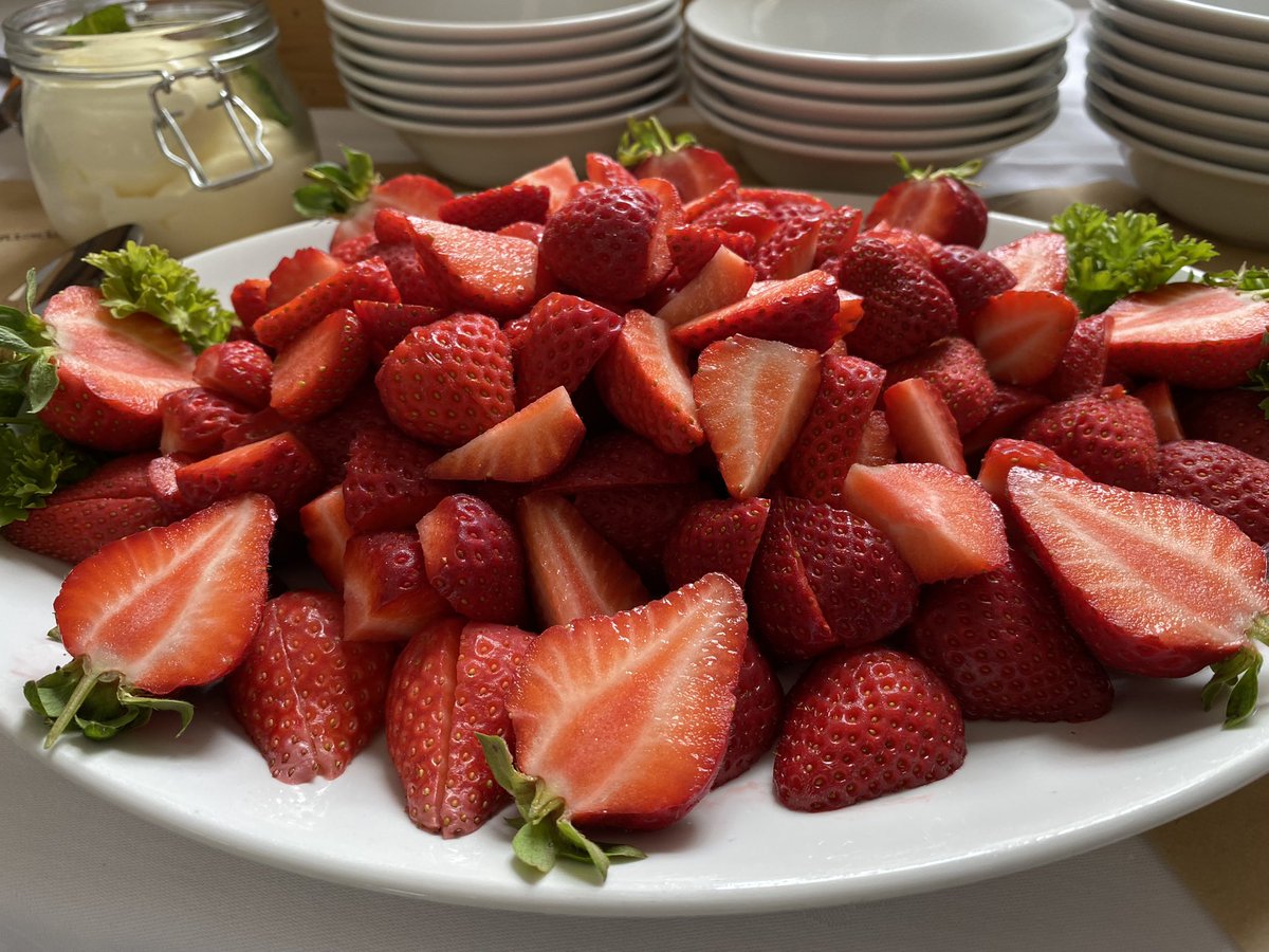 liz Colbourne tweet media