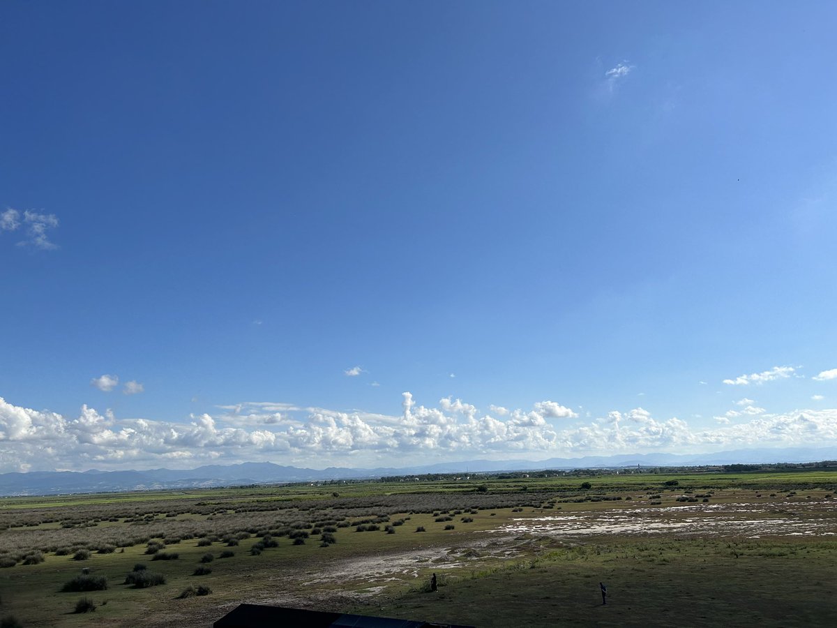 musmutlu akşamlara 🥰🌜
#kızılırmakdeltasıkuşcenneti
#bafra
#iyiakşamlar