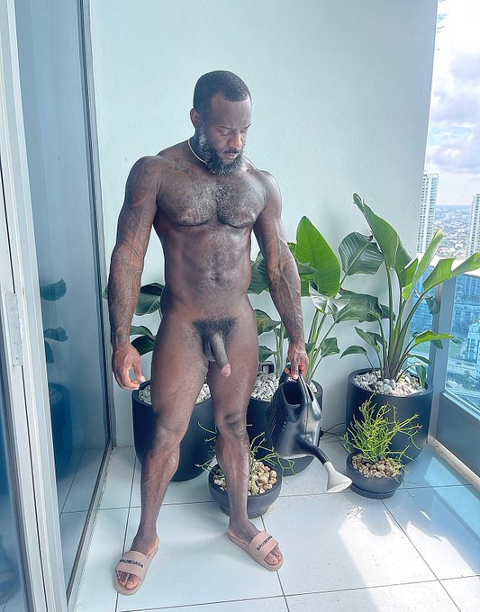 Need This Every Afternoon 💦 https://t.co/XVNhlYQ6Oh