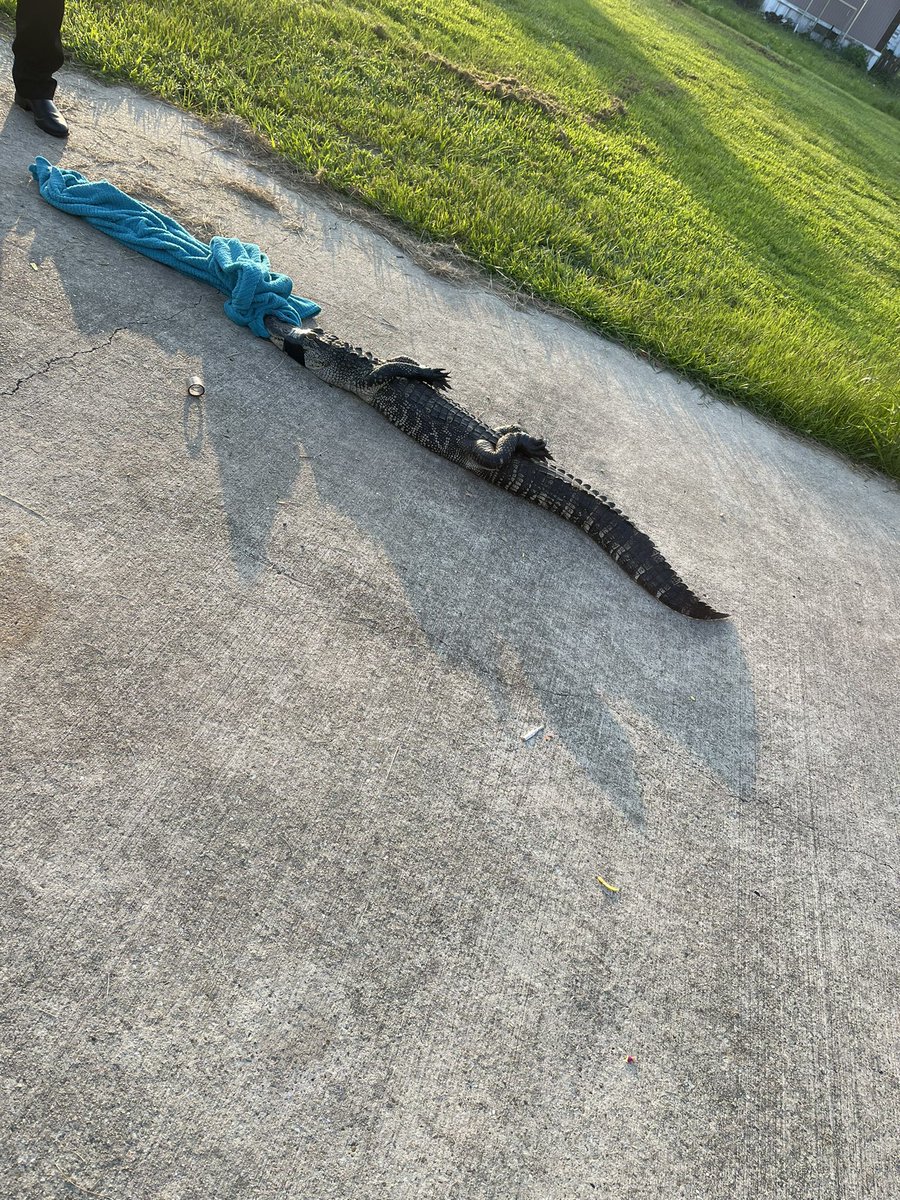 GilbertJames_15's tweet photo. They did my boy dirty this morning. Man was just passing through…. https://t.co/xGo3otXKF0