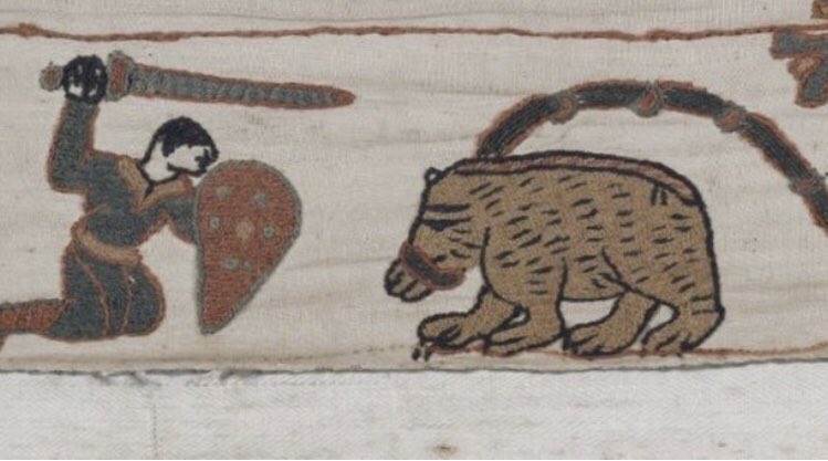 Did you know... 

There's a bear in the Bayeux Tapestry - the embroidered tapestry from the 11th century that depicts the Battle of Hastings. 

#boxofficebears #medieval #earlymodern #history #bears #bear #animalhistory