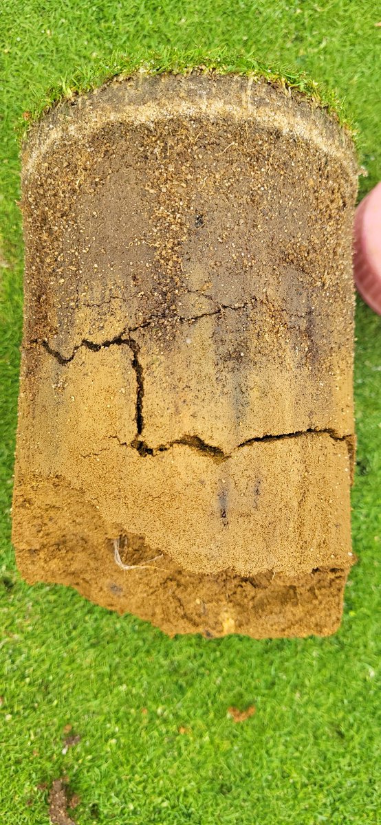 Great to see the hard work paying off over the last 1.5 years on the par 3 course greens 
<a href="/headlandLoz/">Laurence Mcrory</a> 
<a href="/AldwickburyGolf/">Aldwickbury Park GC</a> 
@MikeSmi09430975 
<a href="/BGLGolf/">BGL Golf</a> 
<a href="/HeadlandAmenity/">Headland Amenity</a>