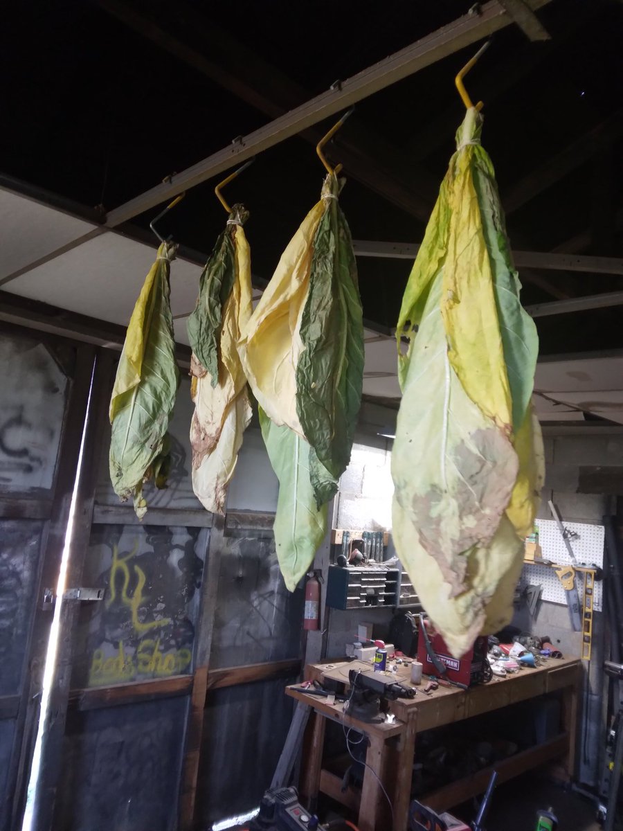 FieldButcher's tweet image. 