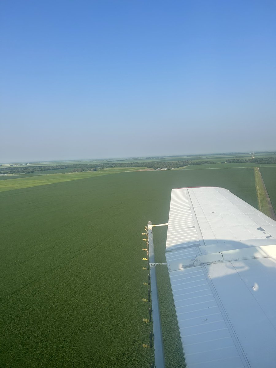 RussAudet's tweet photo. Lots of nice crop potential out there seen this beautiful calm morning of spraying. Bring on rain and few guys will be happy #KBWAviation https://t.co/gyiTTBryx9