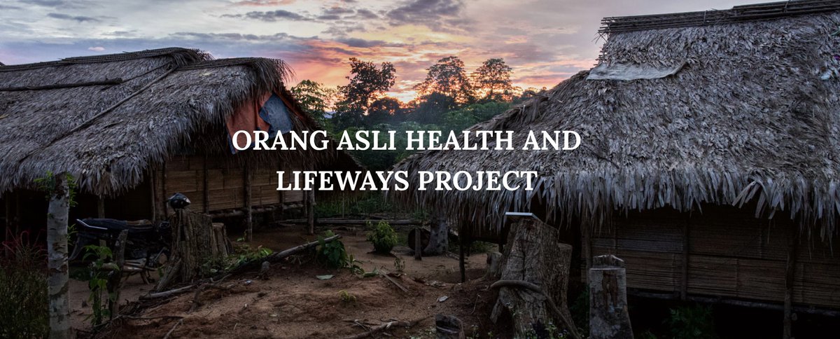 Vivek V. Venkataraman (@vivek_vasi) on Twitter photo Introducing the Orang Asli Health and Lifeways Project (OAHeLP)!
With the support of an <a href="/NSF/">U.S. National Science Foundation</a> grant and our Malaysian collaborators, we’re up and running!
Here’s our website: orangaslihealth.org
And a paper describing our research: bmjopen.bmj.com/content/12/9/e…
A thread (1/n) Introducing the Orang Asli Health and Lifeways Project (OAHeLP)!
With the support of an <a href="/NSF/">U.S. National Science Foundation</a> grant and our Malaysian collaborators, we’re up and running!
Here’s our website: orangaslihealth.org
And a paper describing our research: bmjopen.bmj.com/content/12/9/e…
A thread (1/n)