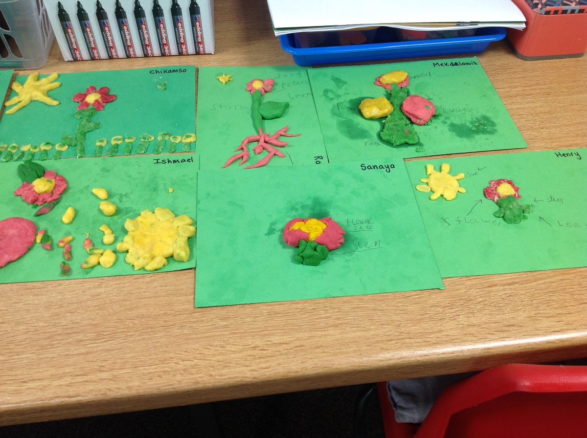 DunstansPrimary's tweet photo. Y2 used their own playdough to recap previous learning by creating and labelling the parts of flowers. #KnowingMoreAndRememberingMore #ScienceAtStDunstans #TolkSci23 @BCSciDept https://t.co/OezvcYWviL