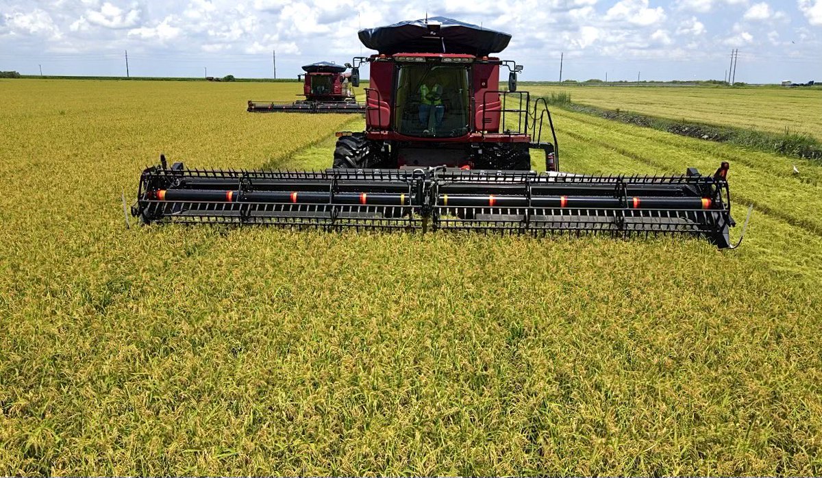 Steve Linscombe tweet media