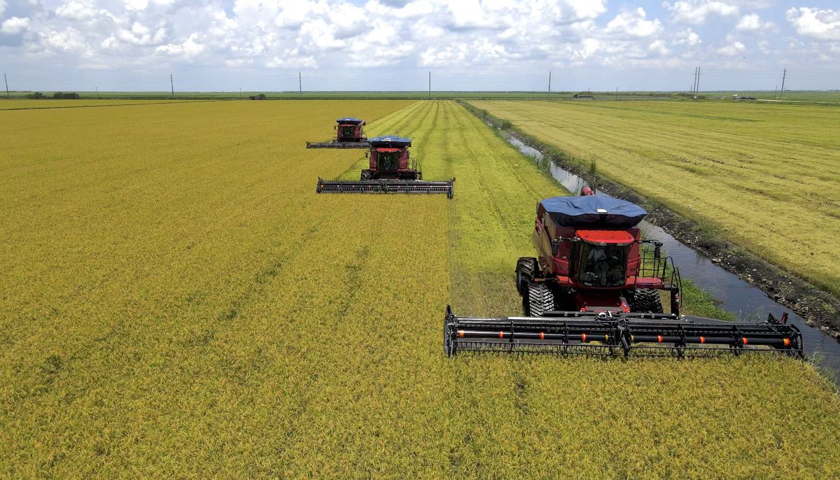 Steve Linscombe tweet media