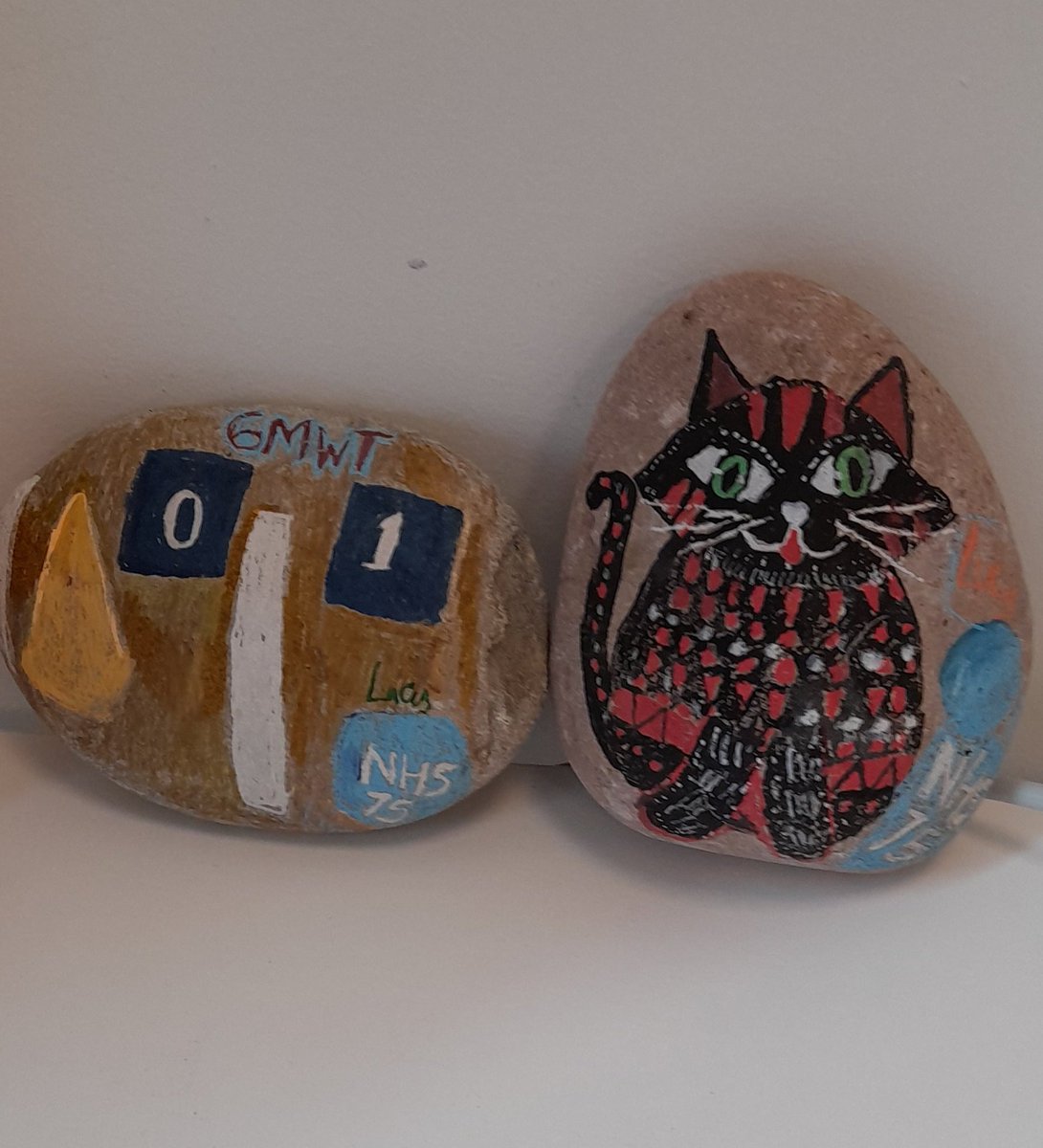 My NHS75 pebble art <a href="/RoyalPapworth/">Royal Papworth Hospital NHS FT 💙</a>