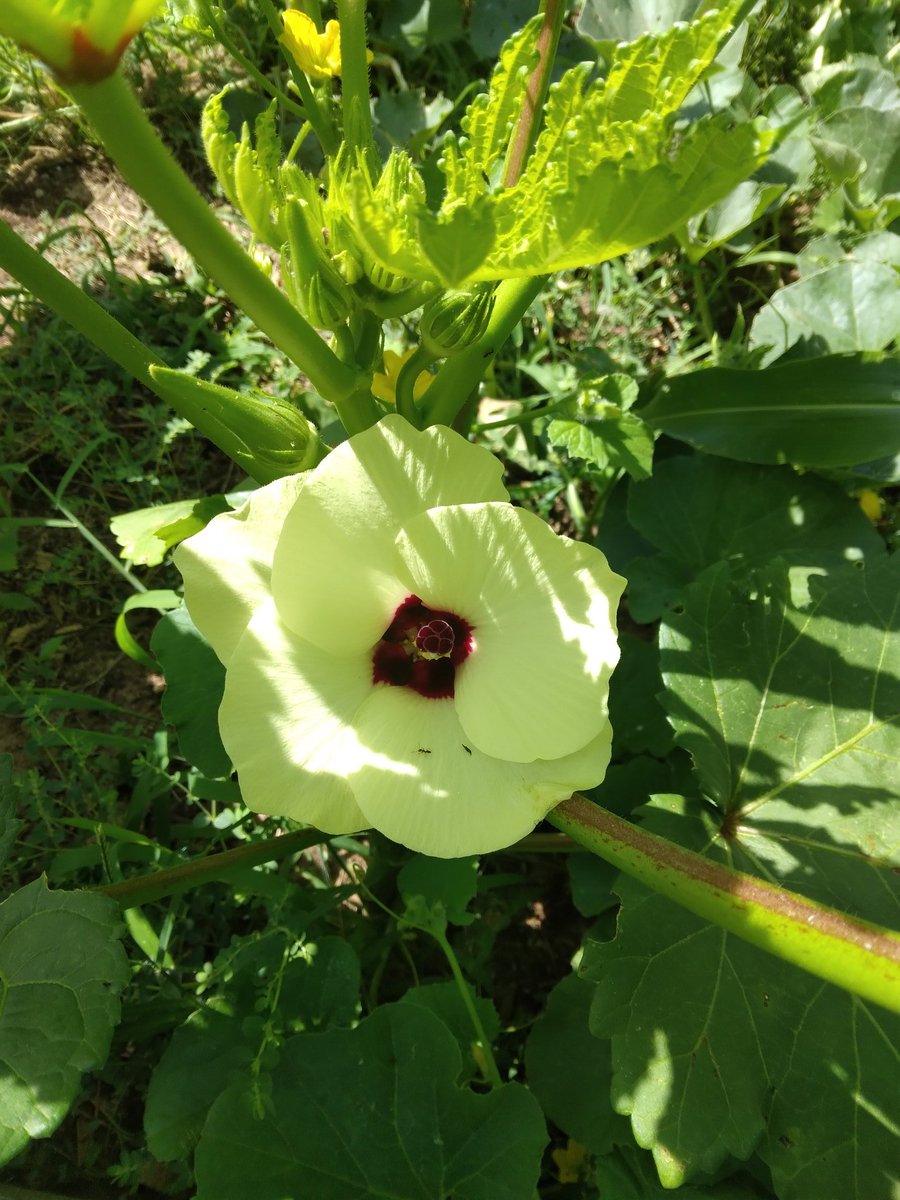 FieldButcher's tweet image. 