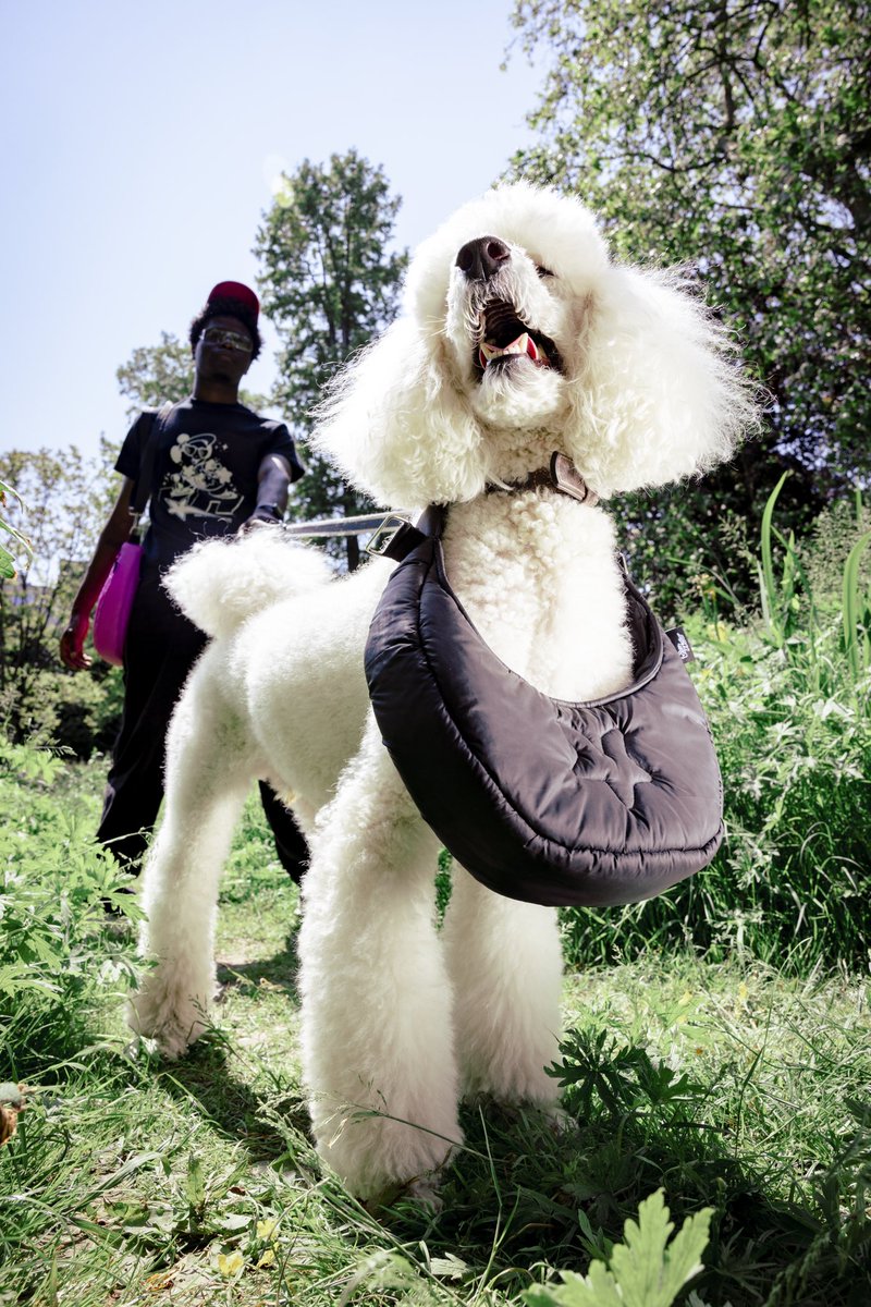 vanhoastudio's tweet photo. Sac Lune dispo sur https://t.co/xc7CcjJuYz https://t.co/T9E7Y5KweE