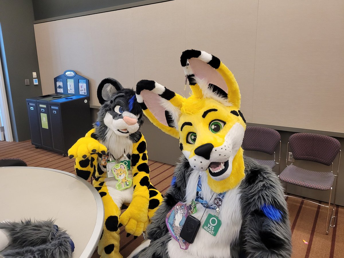 ScullyServal's tweet photo. Cross over episode :3
#anthrocon2023 https://t.co/Nu5BmOUTOF