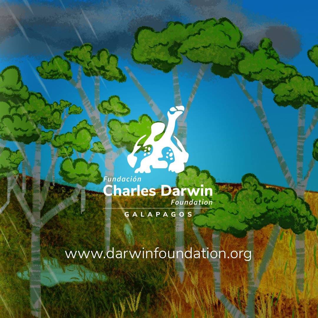DarwinFound's tweet photo. None of this fundamental work would have been possible without your generous contributions and enthusiastic support. So, thank you for making an impact with us, in Galapagos and the world.
#Impact2022 #GalapagosIslands #Conservation #Restoration #CDF
📷 Boris Herrera/CDF https://t.co/31jdJiRC4v