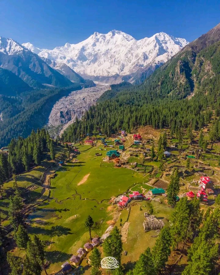 SkarduExpd's tweet image. 🌸 Embark on an enchanting trek to Fairy Meadow! Discover lush meadows, snow-capped peaks, and vibrant wildflowers. Book now: skarduexpedition.com 🌿✨ #FairyMeadow #TrekkingAdventure #NatureLovers #SkarduExpeditionTreksTours