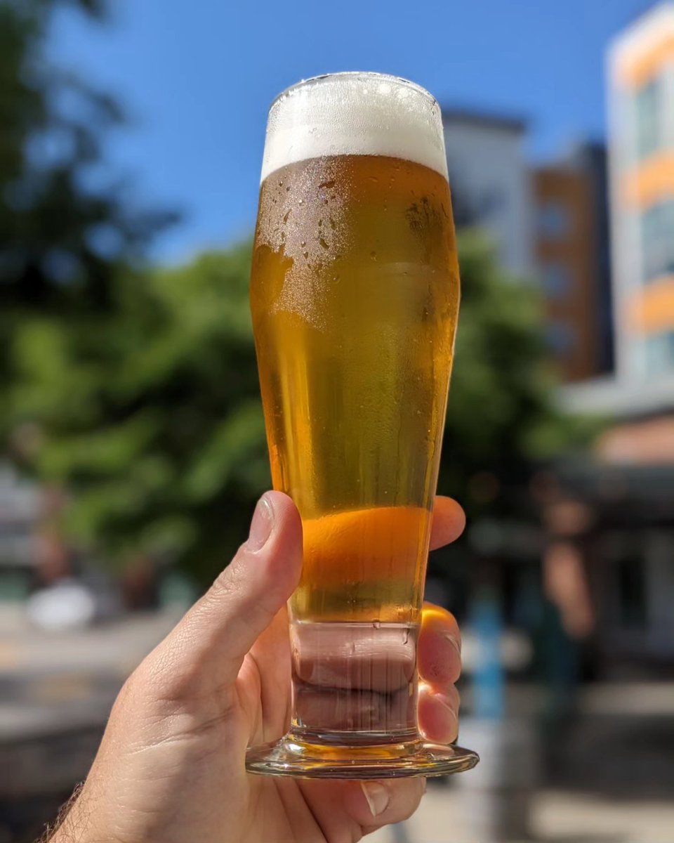 🚨New Beer Alert 🚨 DON'T TELL THE ELF New Zealand Pilsner releases today!! 🔥 For this tasty Pils we decided to TOSS in some Motueka &amp; Kohatu hops straight from the beautiful shores of the shire.. I mean New Zealand. 🇳🇿  Kia ora!

#loganbeer #loganbrewing #logan #newzealand