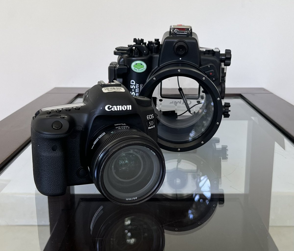 AnjaliBoyd's tweet photo. One of my fav #NatGeoExplorer perks is the Camera Loan prog that allows Explorers to check-out professional camera gear for FREE! I was able to check out the Canon 5D + the underwater housing &amp; bring it w/ me to Panamá. Now, I think I’m a professional underwater photographer😅 https://t.co/rKiXKZ7MO5