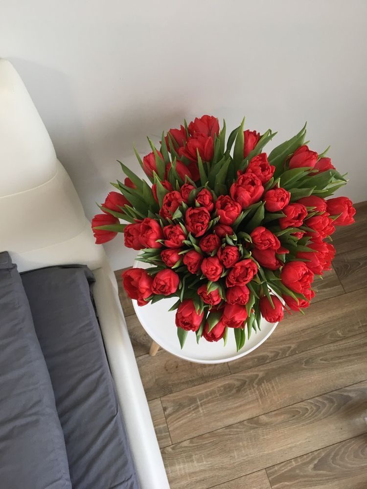red tulips