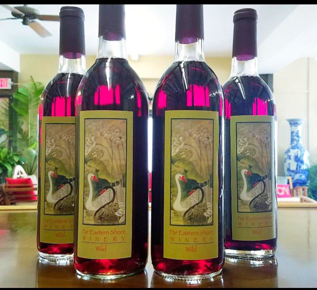 FESWinery's tweet photo. For July 4th weekend, we are going Wild!!! All bottles of our triple berry Shiraz are $2 off through Sunday. 

With strawberry, blueberry and blackberry notes, it’s like your favorite patriotic berry dessert in your wine glass 🇺🇸🍷🍓🫐🎆. #MDwine #FESWinery #July4thweekend https://t.co/11b7hXvclB
