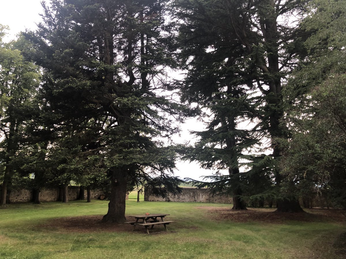 bobnacho05's tweet image. My next three days… #timeforrest
#relax
