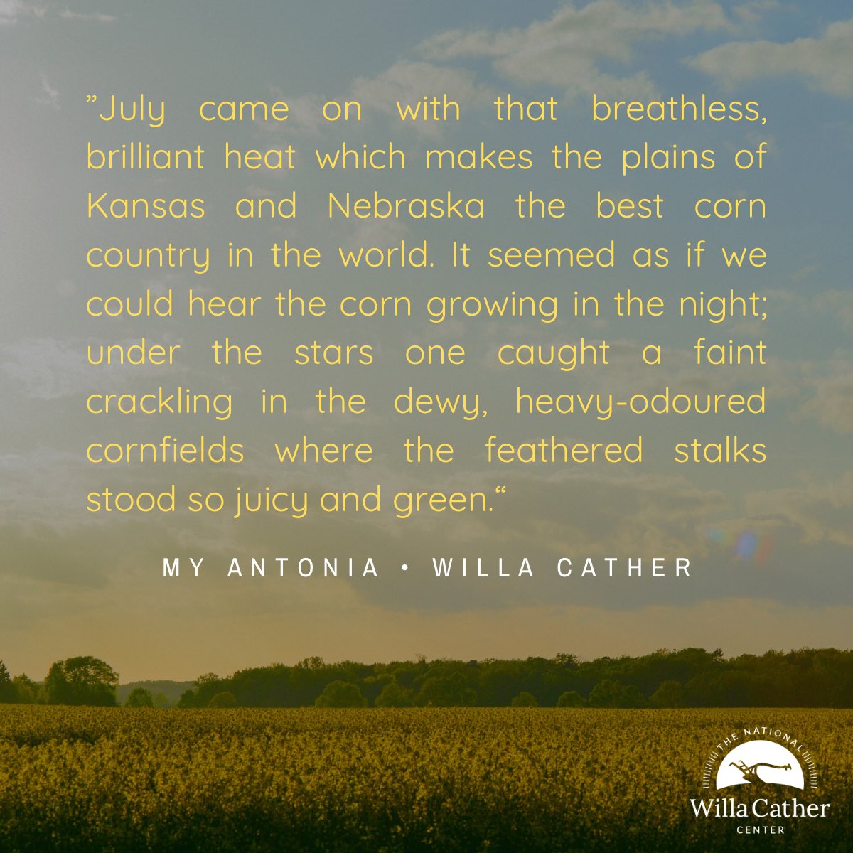 WillaCatherFdn's tweet photo. #July #July1 #Cather150 #Corn #Nebraska #NebraskaLife #WillaCather #MyAntonia #GreatPlains #Prairie #CornCountry #NebraskaFarm #NebraskaFarmers 🌽 #ItsCorn https://t.co/kV08Y5AP0k
