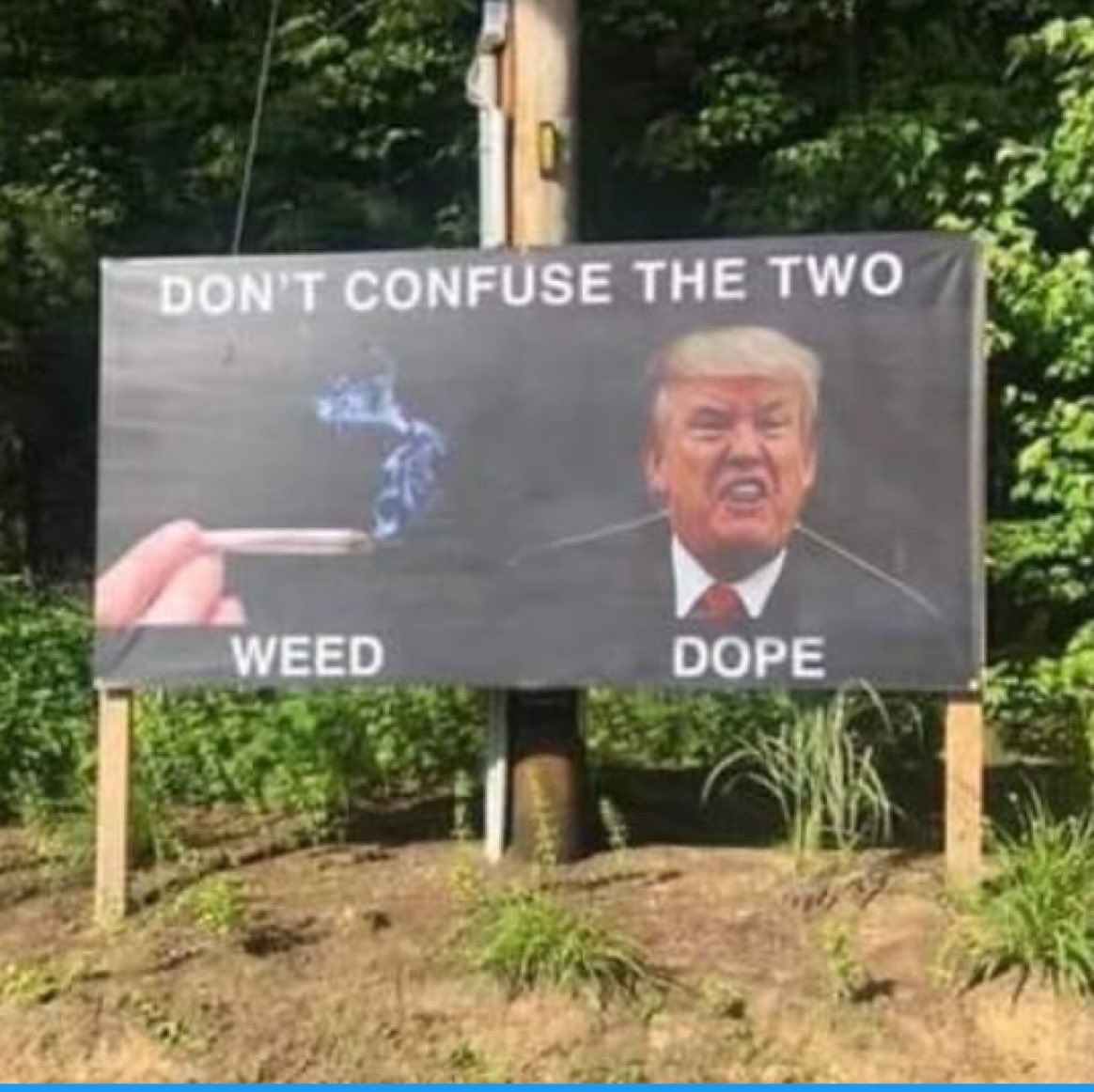 Alright, who made this?! 🤣😂