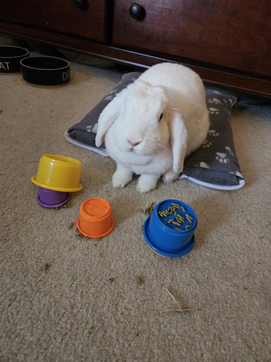 She doesn't quite 'get' the stacking cups