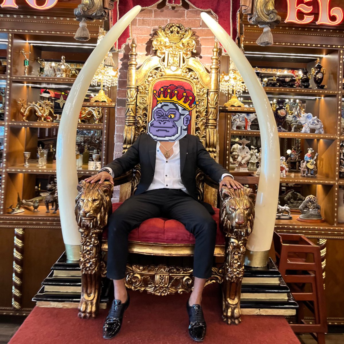 ProfeMicelio33's tweet photo. GORILLAE KINGDOM 👑🦍♻️ 
Los Reyes de la XELVA 🌴🌲🌿
Guardianes de la Naturaleza 🕊️ Uh uh uh 🍌
@gorillaenft #XELVAisTheWay
#NFT #Blockchain #Solana #XLVA #MagicEden #Phantom #RevolutionBlockchain https://t.co/9myGkTMaPL