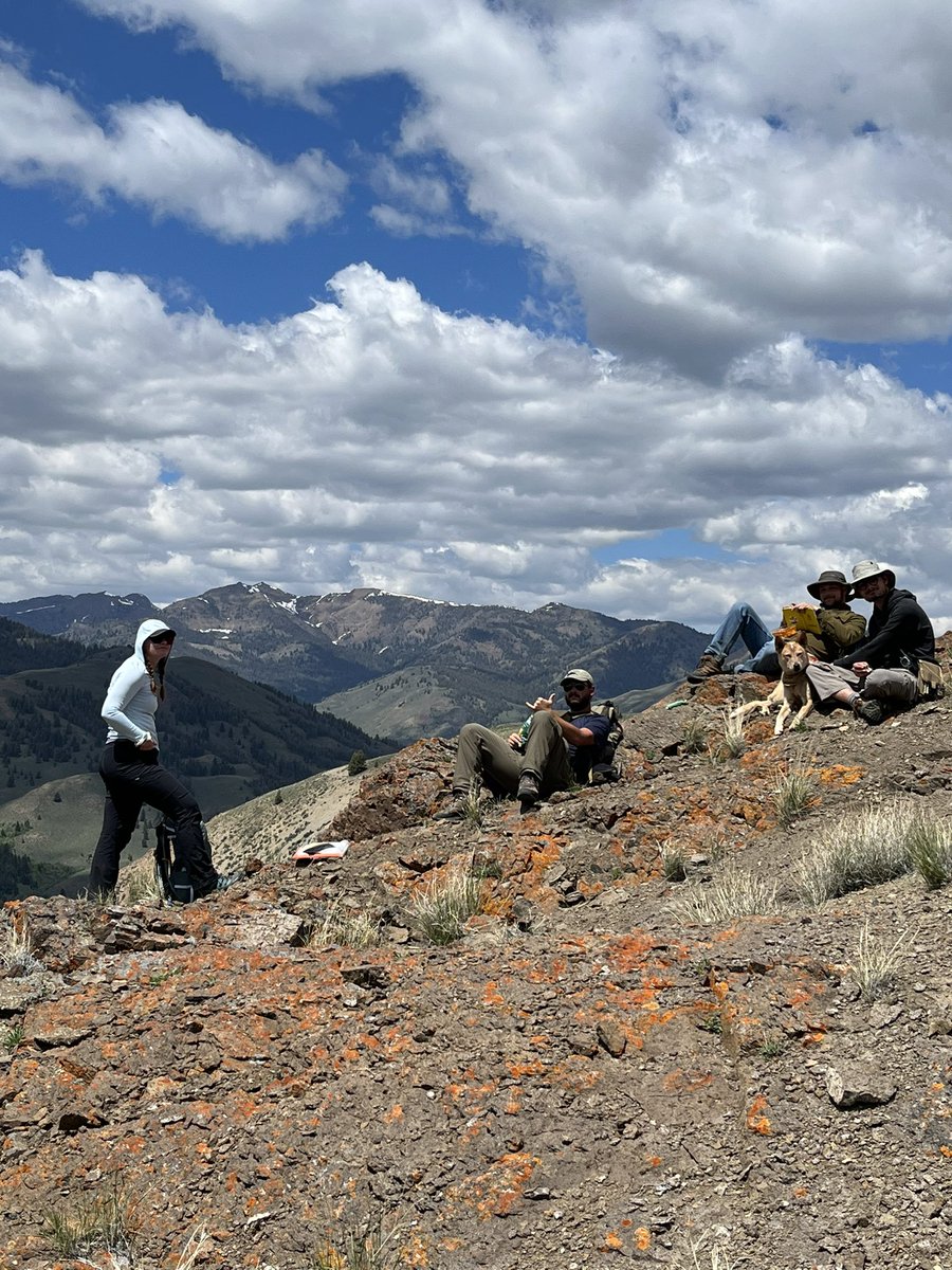 ISUGeoscience's tweet image. Field camp 2023 is nearly over! We’ve climbed mountains, waded across icy streams, sat by fires, and danced into the night. (Not to mention all of the mapping!) Do you have favorite field camp memories?