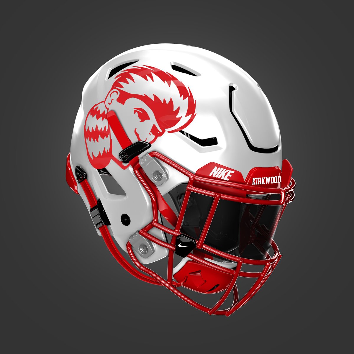Missouri Helmet Project tweet media