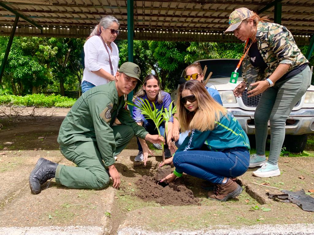 MinecOficial tweet media