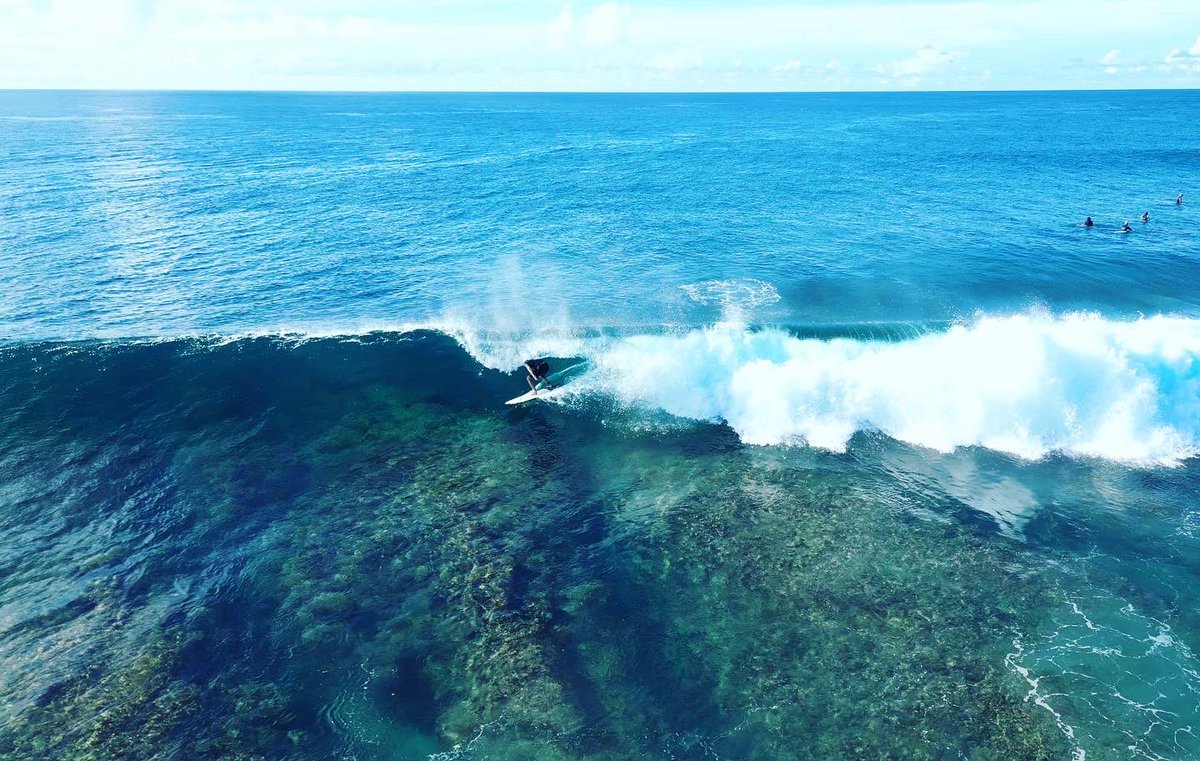 turtleboards's tweet photo. Maldives in March ❤️ https://t.co/HE5q0Pz9mB