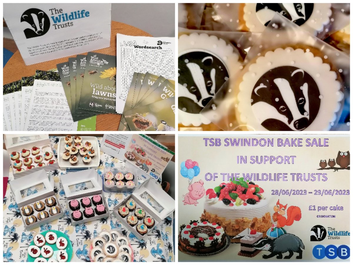 Thanks to everyone that supported & donated our Wildlife themed Bake Sale in the @TSB #Swindon Branch. We managed to raise £107 for @WildlifeTrusts #Charity #lifemademore #tsbpride #bakesale #cakesale #wildlife #nature #30DaysWild