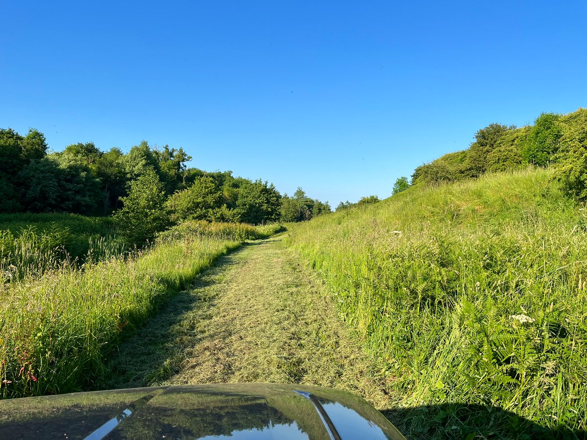 🇺🇦🇺🇦RM & JF Seed🇺🇦🇺🇦 tweet media