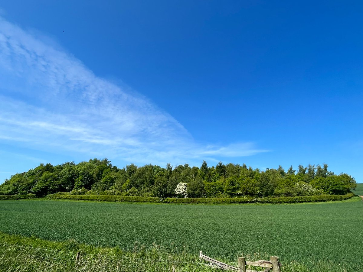 🇺🇦🇺🇦RM & JF Seed🇺🇦🇺🇦 tweet media