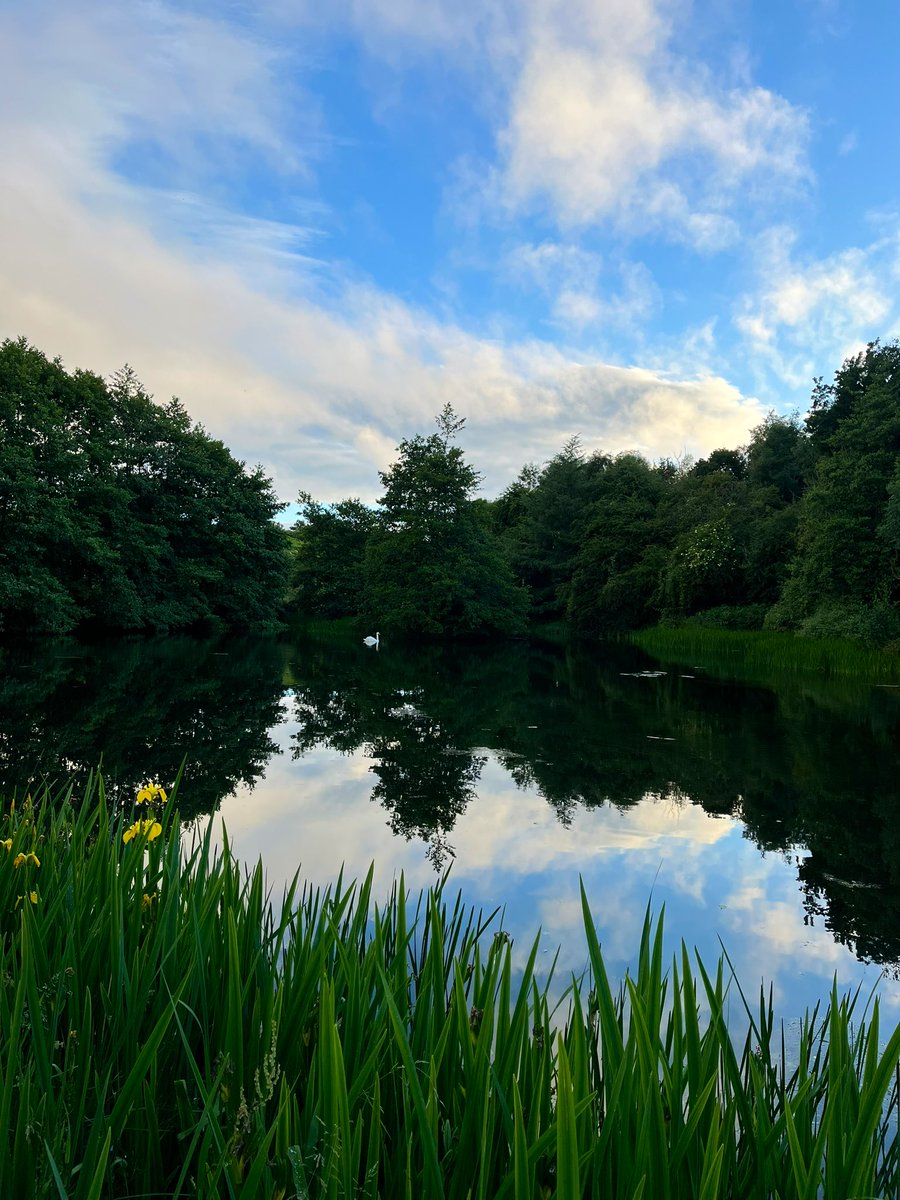 🇺🇦🇺🇦RM & JF Seed🇺🇦🇺🇦 tweet media