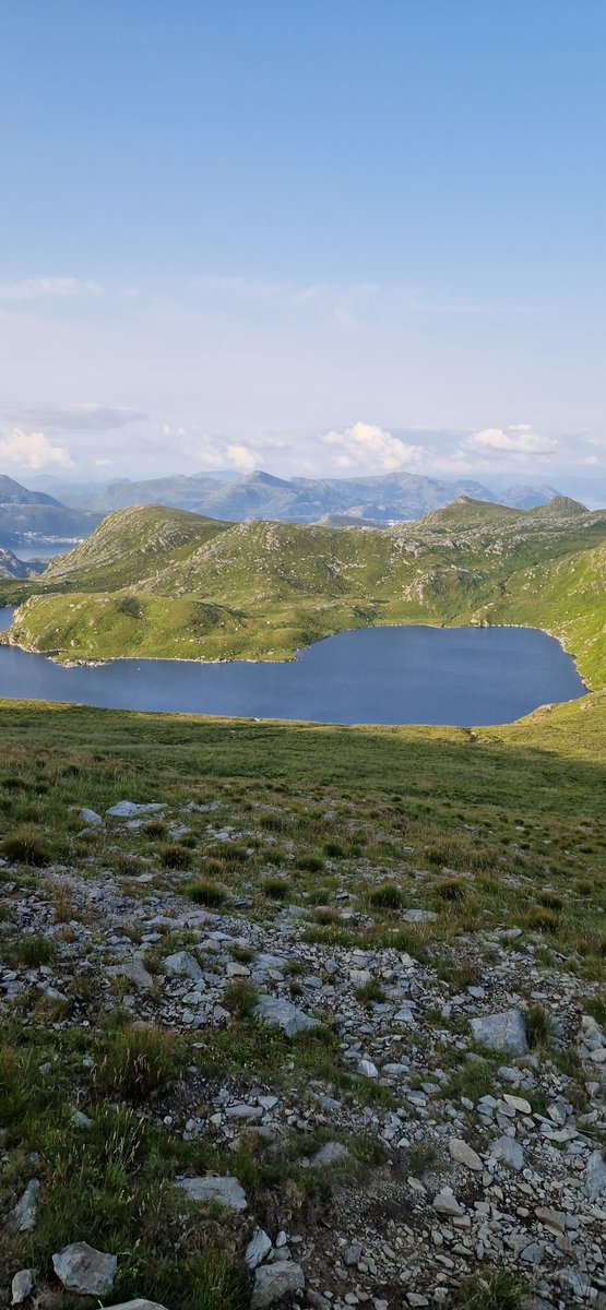 Danesh Zare - IR at Verve tweet media