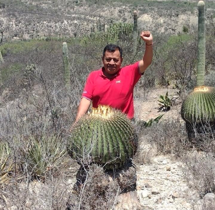 Peace Brigades International-México tweet media