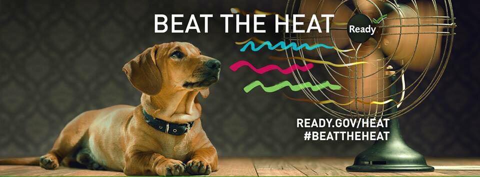 With heat index values of 100-110 degrees this weekend, keep your pets safe by making sure they are properly hydrated. For more tips go to ready.gov/pets. #PetPreparednessMonth #BeatTheHeat