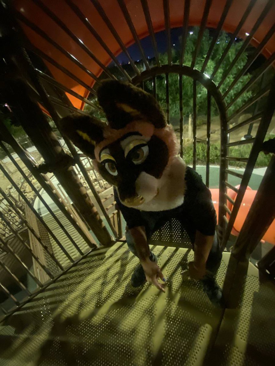 Try_To_KipUp's tweet photo. Happy #FursuitFriday to all those who can’t make it to AC
We copeconing it up in here tonight!!!
#furry #furries #furryfandom #fursona #fursuit #fursuiter #boxcon #LngLv
@thejaiwolf #whatyouuptojai https://t.co/XVYX5h7bur
