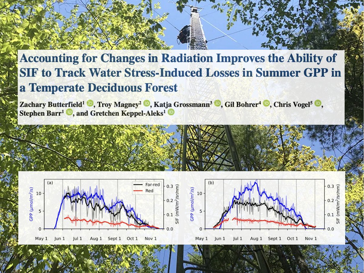 Troy Magney (@troymagney) on Twitter photo New paper in <a href="/JGRBiogeo/">Journal of Geophysical Research: Biogeosciences</a> uses tower remote sensing data to look at short-term water stress and canopy photosynthesis. 🌳🗼🛰️
Led by Zach Butterfield from <a href="/UMich/">University of Michigan</a> - using <a href="/photo_spec/">PhotoSpec</a> at the <a href="/AmeriFlux/">AmeriFlux</a> <a href="/UMBS/">UM Biological Station</a> deciduous forest site.
doi.org/10.1029/2022JG… New paper in <a href="/JGRBiogeo/">Journal of Geophysical Research: Biogeosciences</a> uses tower remote sensing data to look at short-term water stress and canopy photosynthesis. 🌳🗼🛰️
Led by Zach Butterfield from <a href="/UMich/">University of Michigan</a> - using <a href="/photo_spec/">PhotoSpec</a> at the <a href="/AmeriFlux/">AmeriFlux</a> <a href="/UMBS/">UM Biological Station</a> deciduous forest site.
doi.org/10.1029/2022JG…