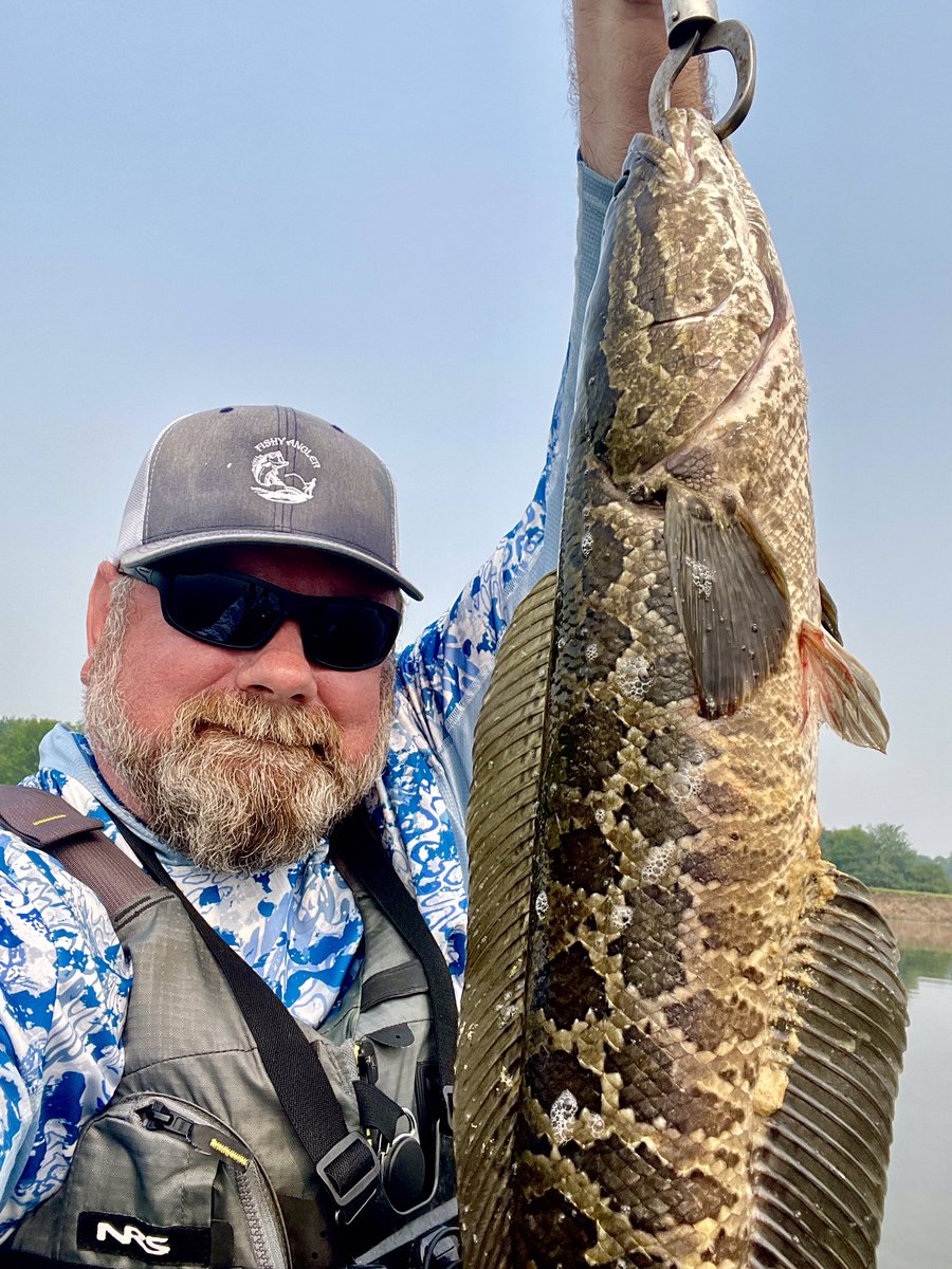 FishyAngler's tweet photo. Had a slow morning. Got only this two pond residents… 😁
#fishyangler #northernsnakehead #delawarefishing #kayakfishing #bassfishing #pondfishing https://t.co/drP5B4DHQJ
