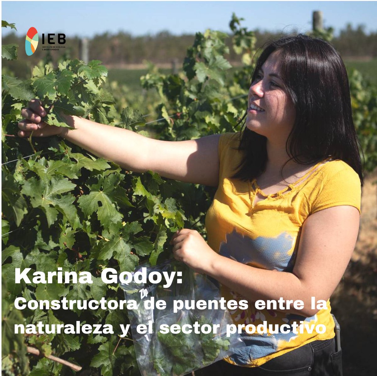 Instituto de Ecología y Biodiversidad - IEB (@iebchile) on Twitter photo 👥🌱#PerfilesIEB | Te invitamos a conocer la historia y trayectoria de Karina Godoy <a href="/InaGodoyM/">Karina Godoy</a>, una verdadera constructora de puentes entre la naturaleza y el sector productivo, y pilar fundamental del Programa <a href="/VCCBChile/">Programa Vino, Cambio Climático y Biodiversidad CL</a>
ieb-chile.cl/noticia/karina… 👥🌱#PerfilesIEB | Te invitamos a conocer la historia y trayectoria de Karina Godoy <a href="/InaGodoyM/">Karina Godoy</a>, una verdadera constructora de puentes entre la naturaleza y el sector productivo, y pilar fundamental del Programa <a href="/VCCBChile/">Programa Vino, Cambio Climático y Biodiversidad CL</a>
ieb-chile.cl/noticia/karina…