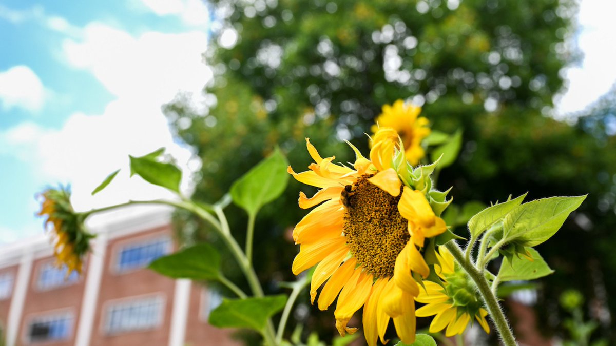 UTC Graduate School tweet media